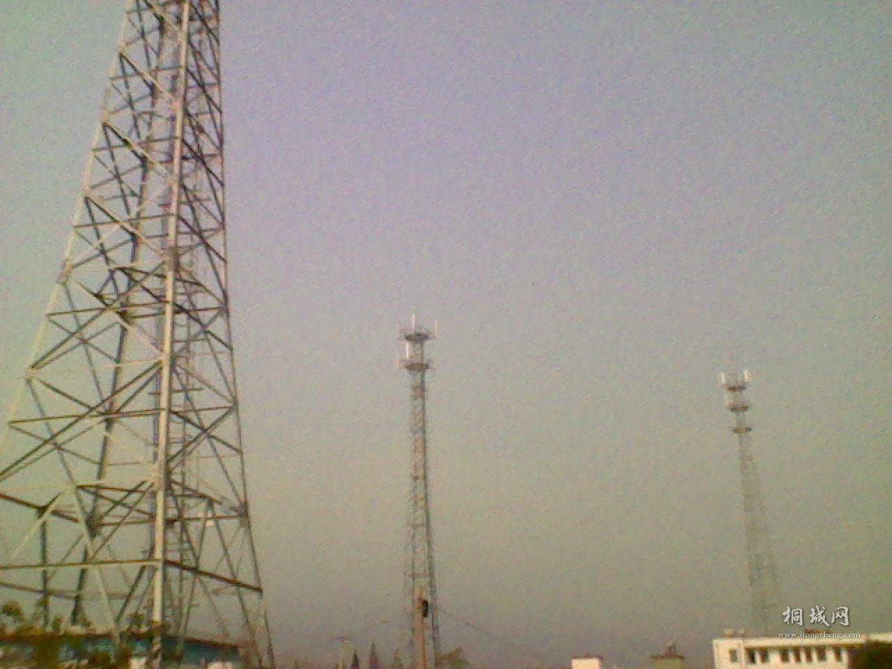 Img01_2011-11-15_ת.JPG