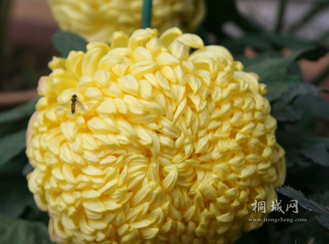 ���� 012_����.jpg