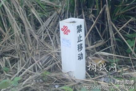 ��ͨ�Ĺ�� ����.jpg