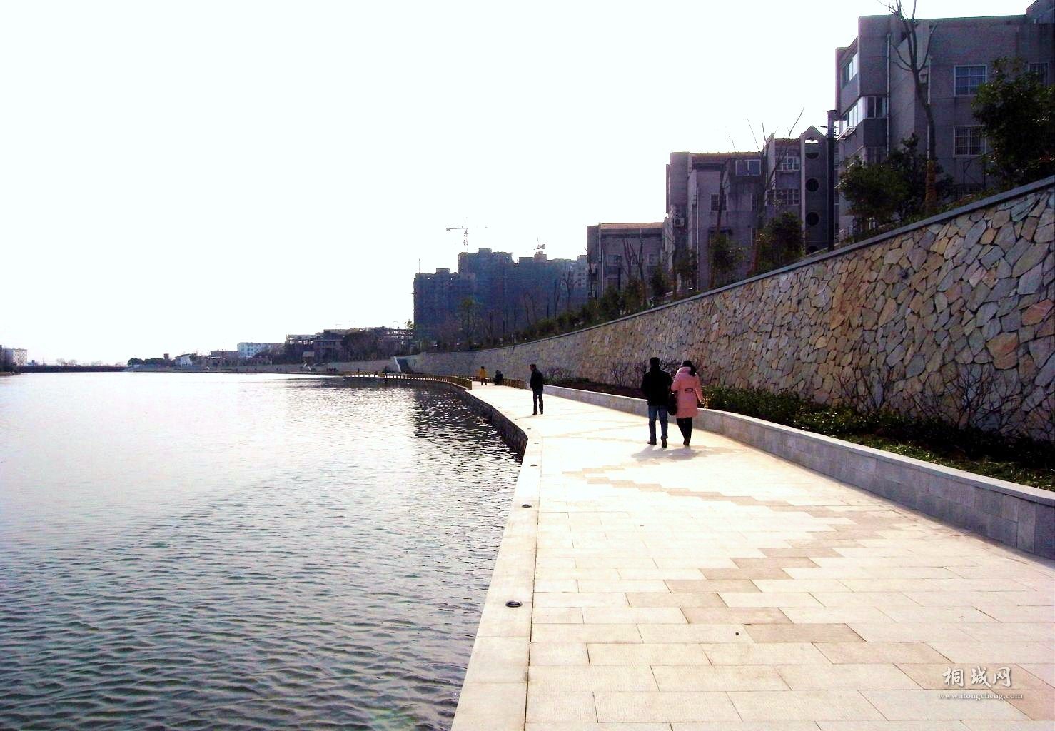 RIMG0125.JPG