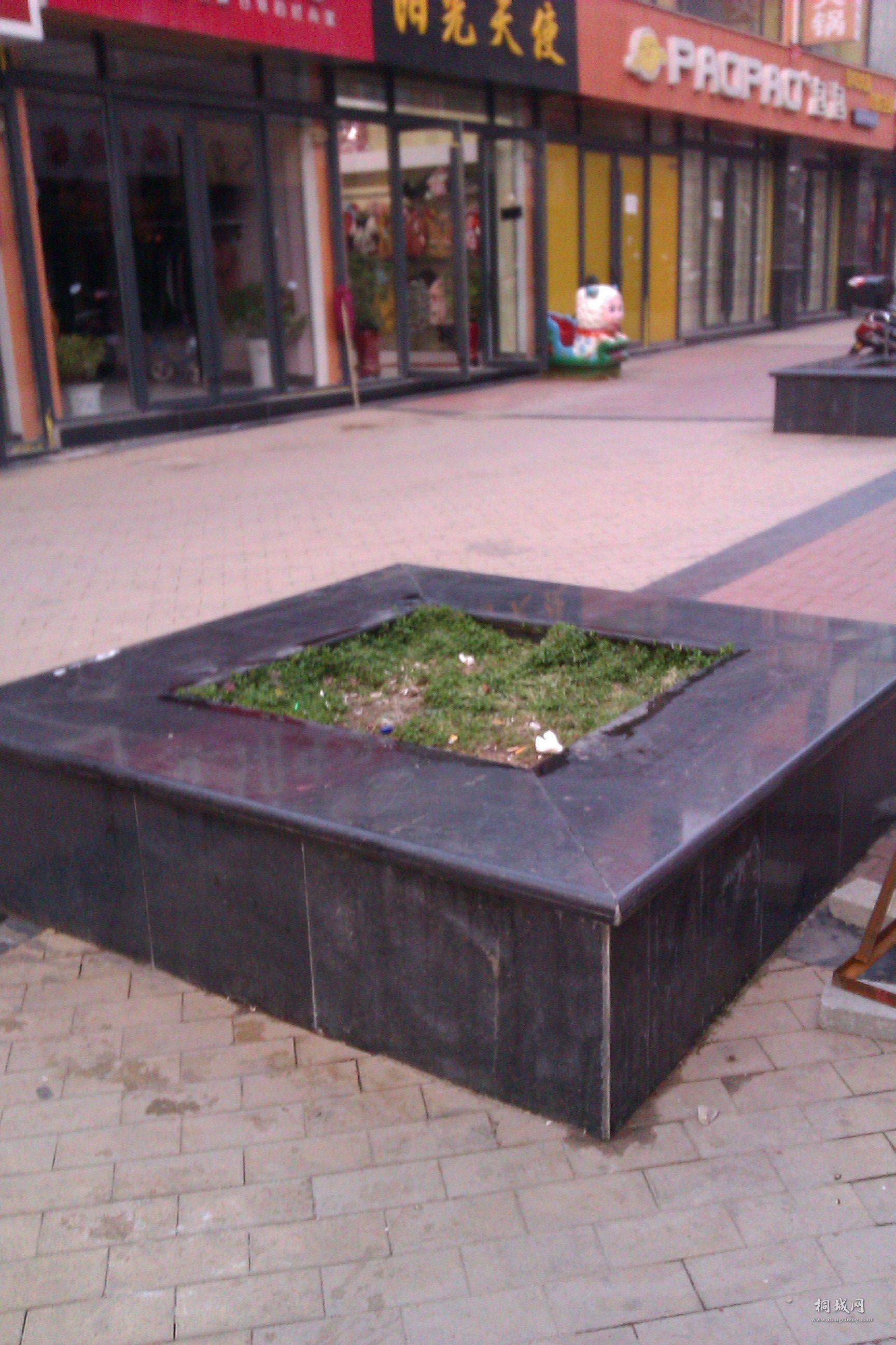 IMAG0158.jpg