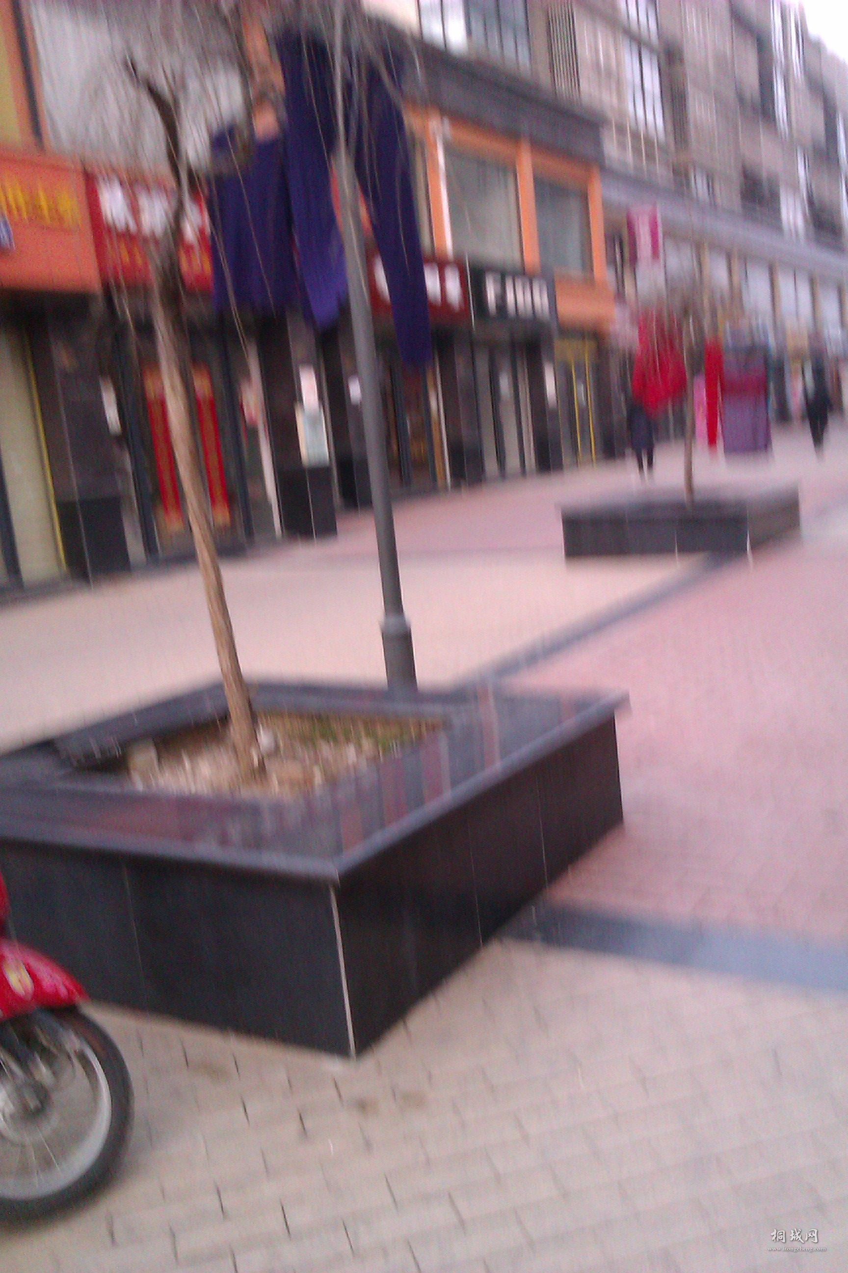 IMAG0160.jpg