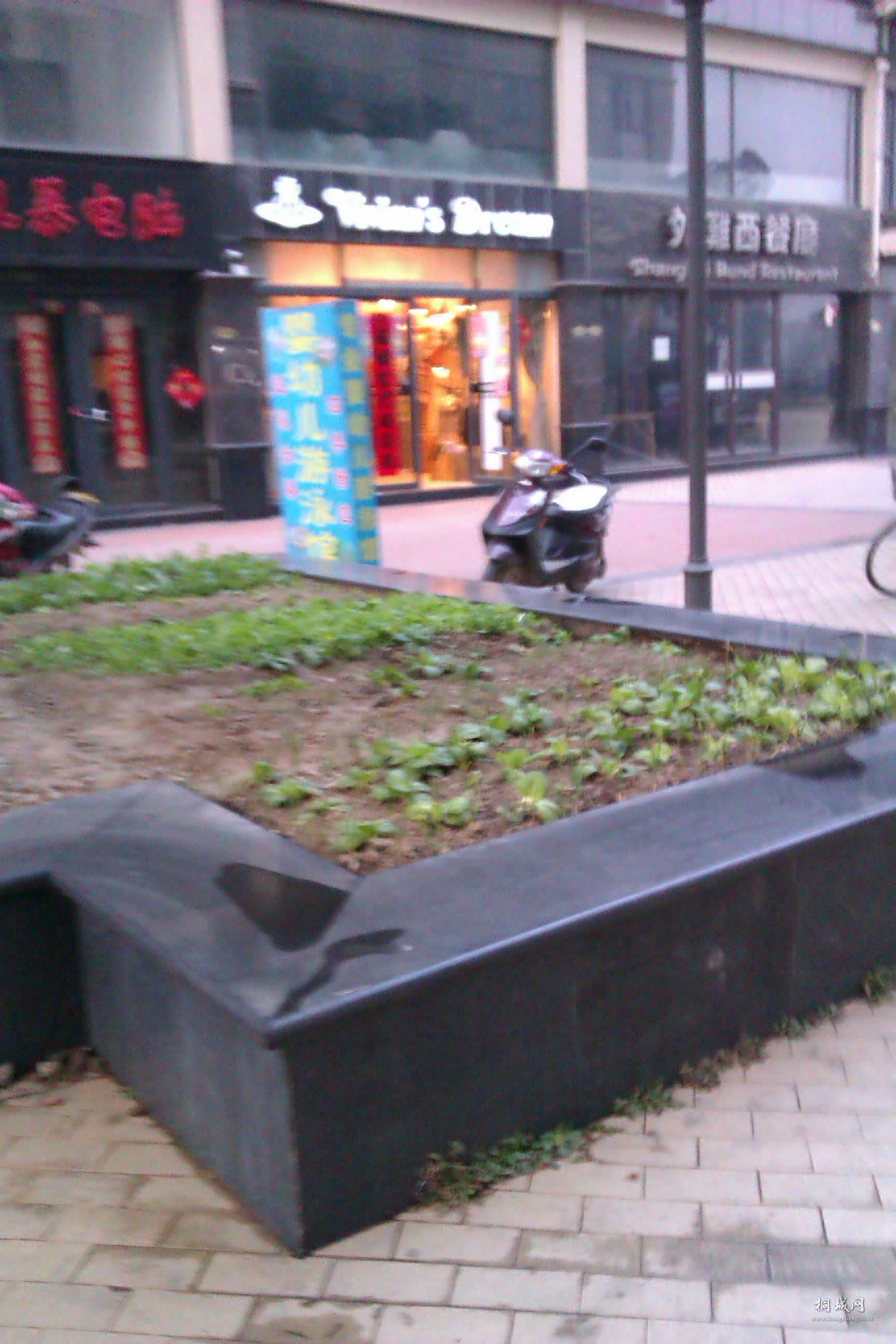 IMAG0164.jpg