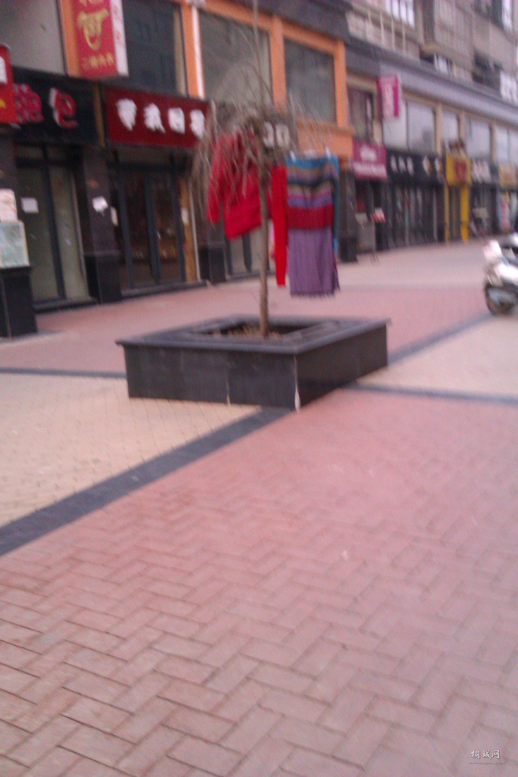 IMAG0161.jpg