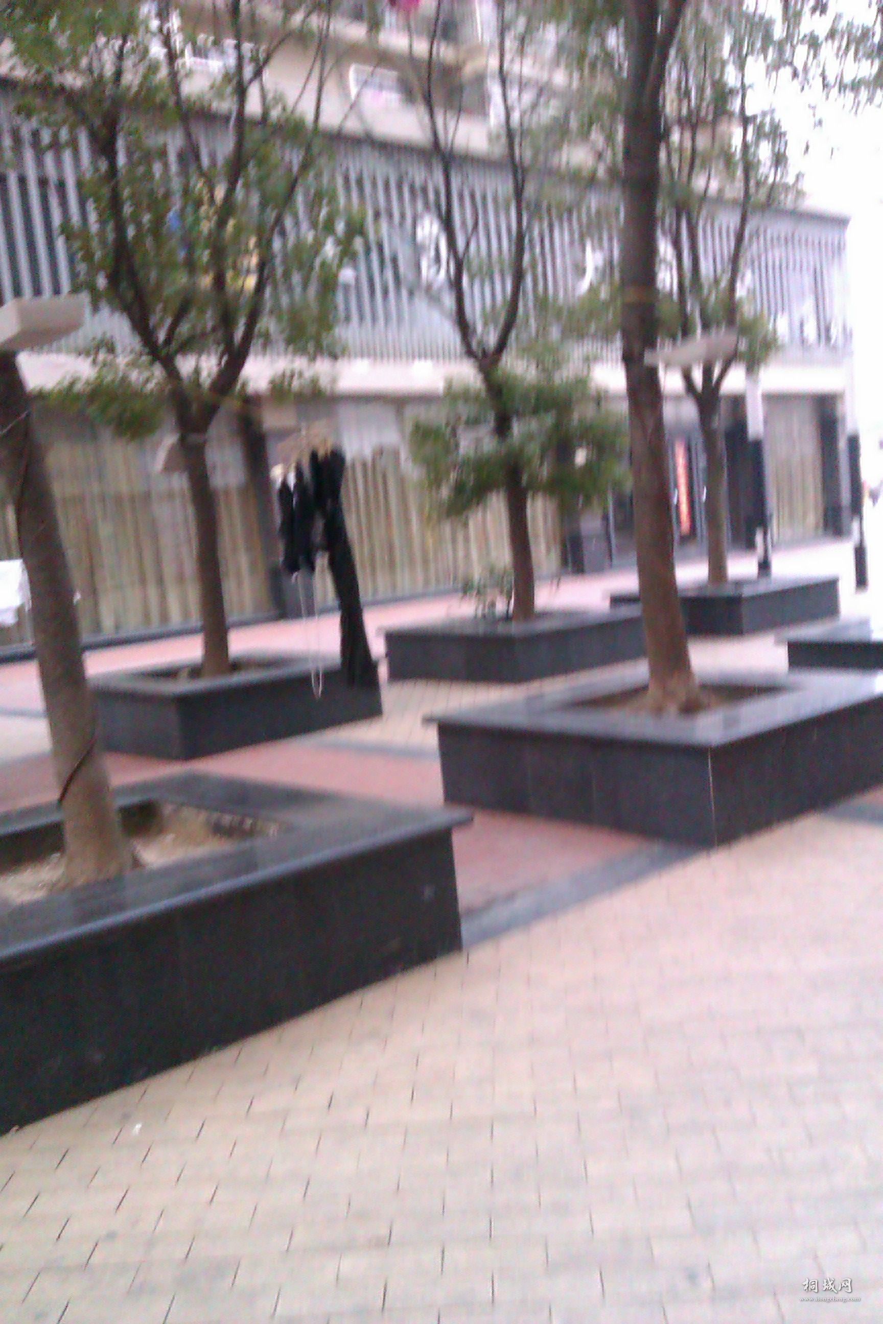IMAG0165.jpg