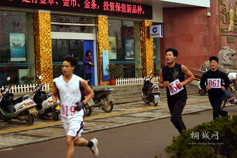 DSC02542_.jpg