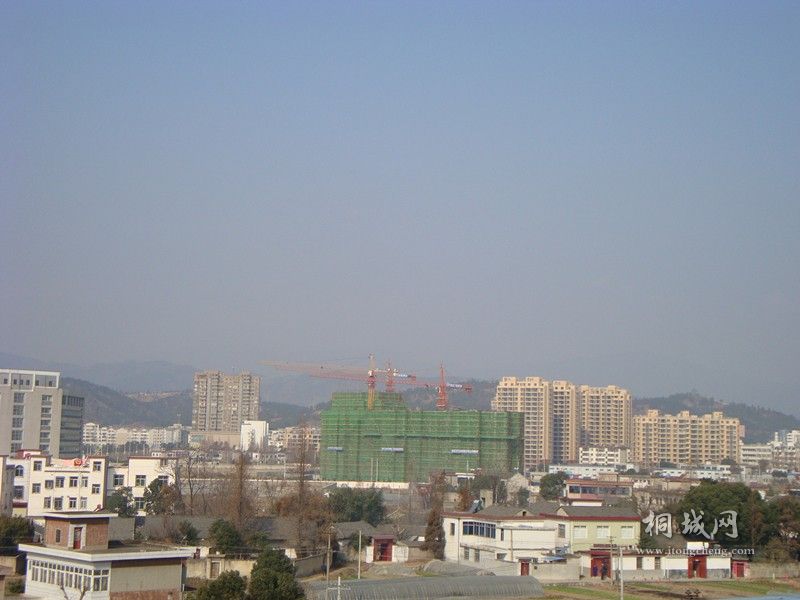545454.jpg