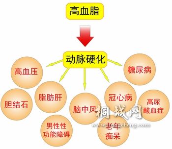 20101202110446663.jpg