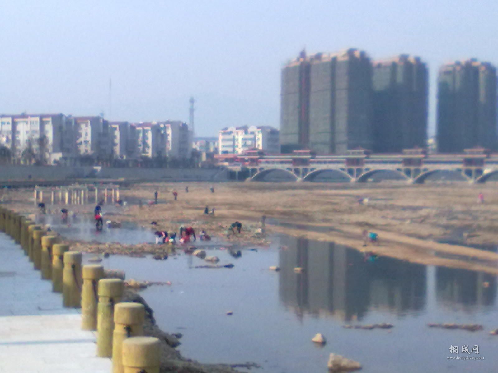 20110125311.jpg