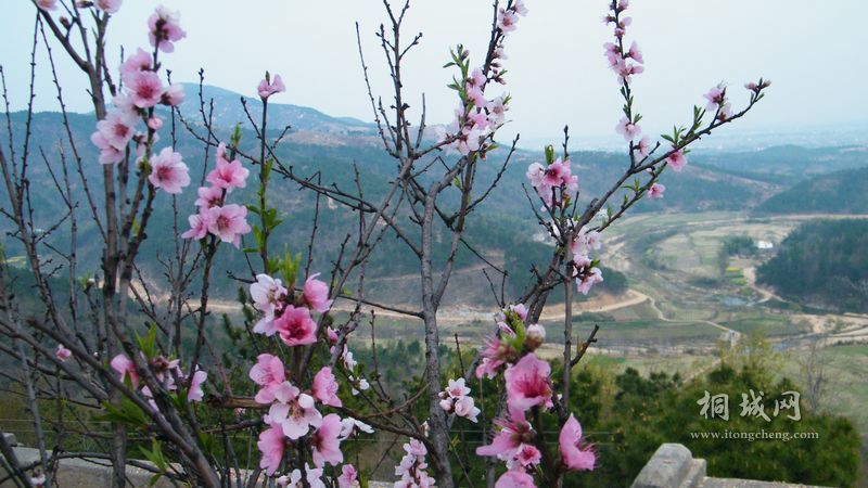 DSCF5236.jpg