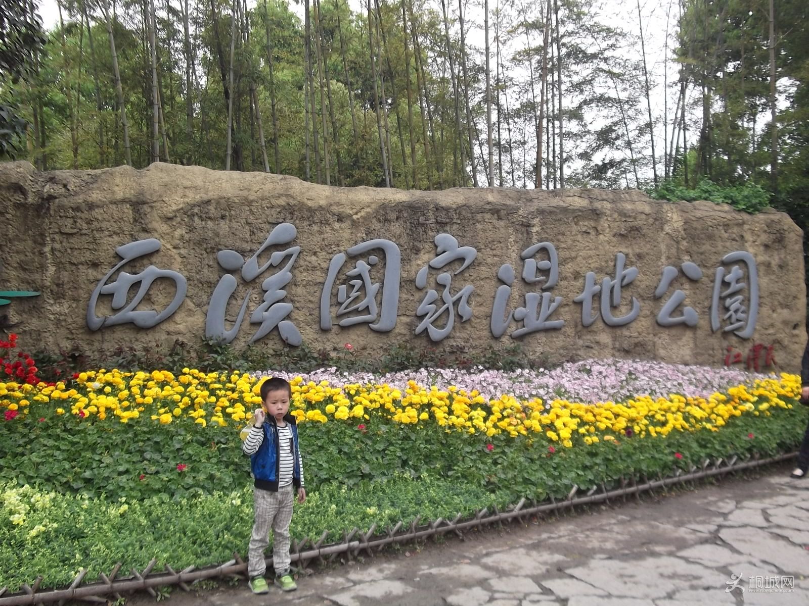 DSCF1495.jpg