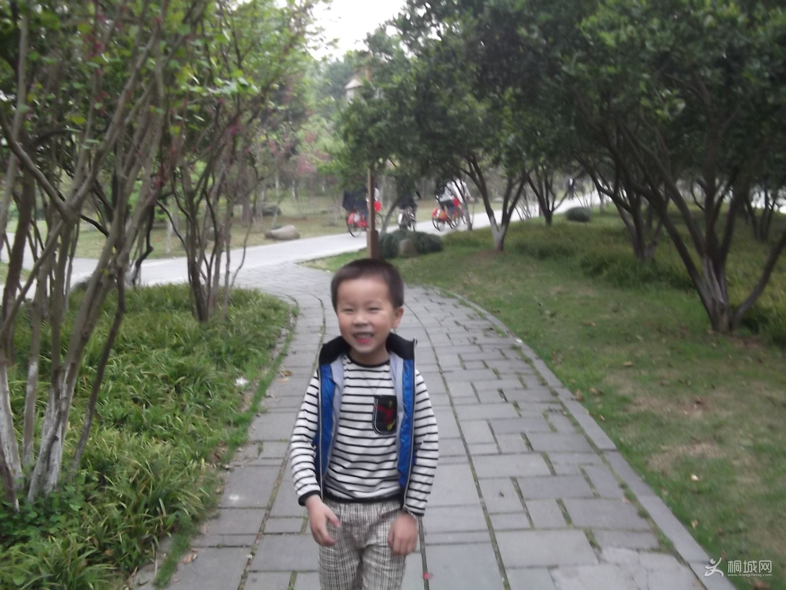 DSCF1586.jpg