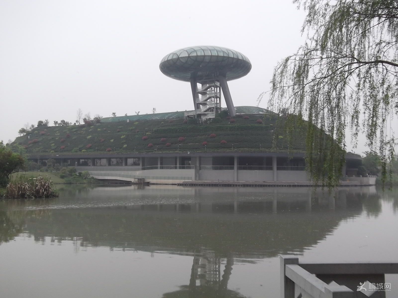 DSCF1590.jpg