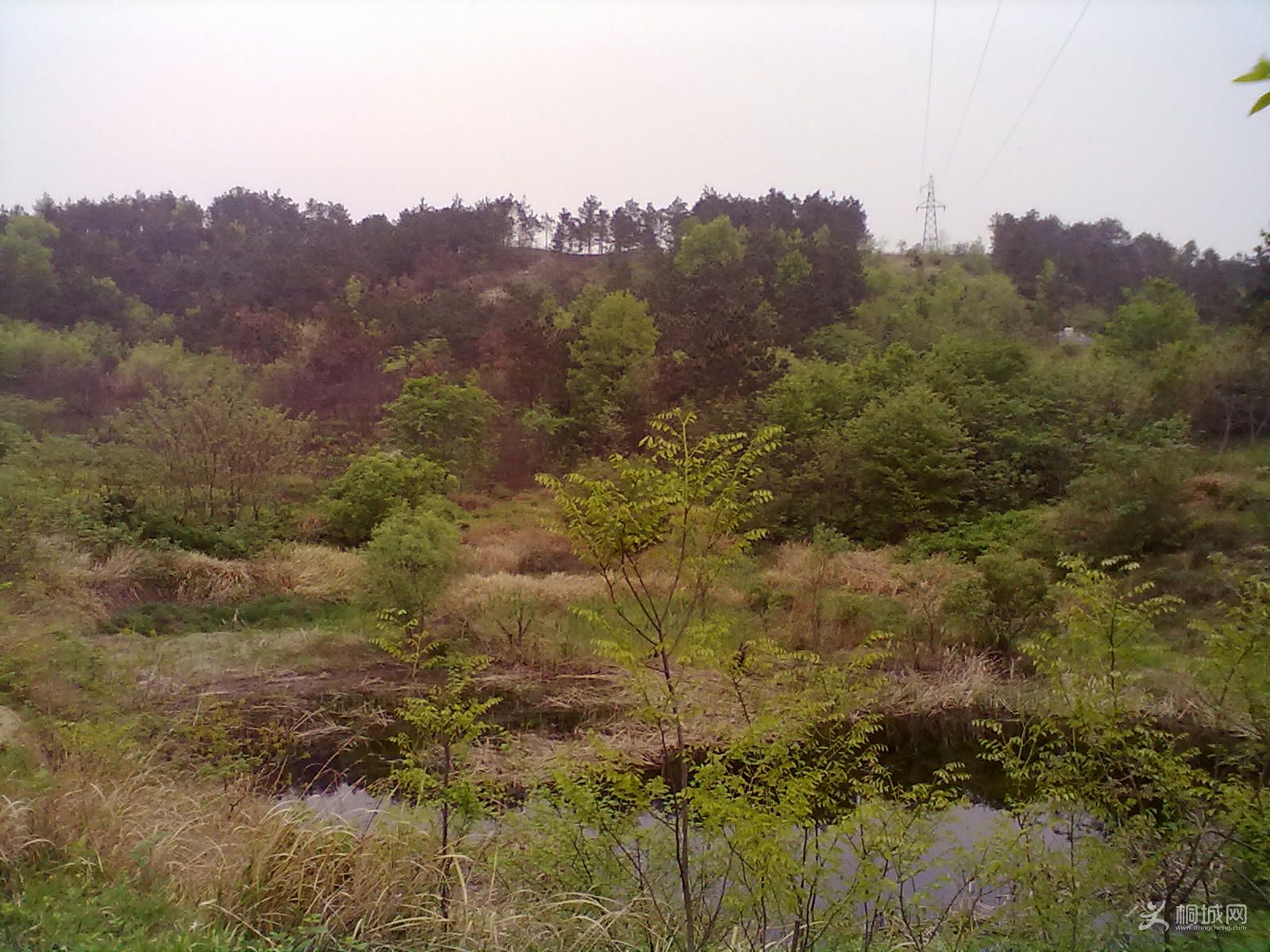 20120418232.jpg