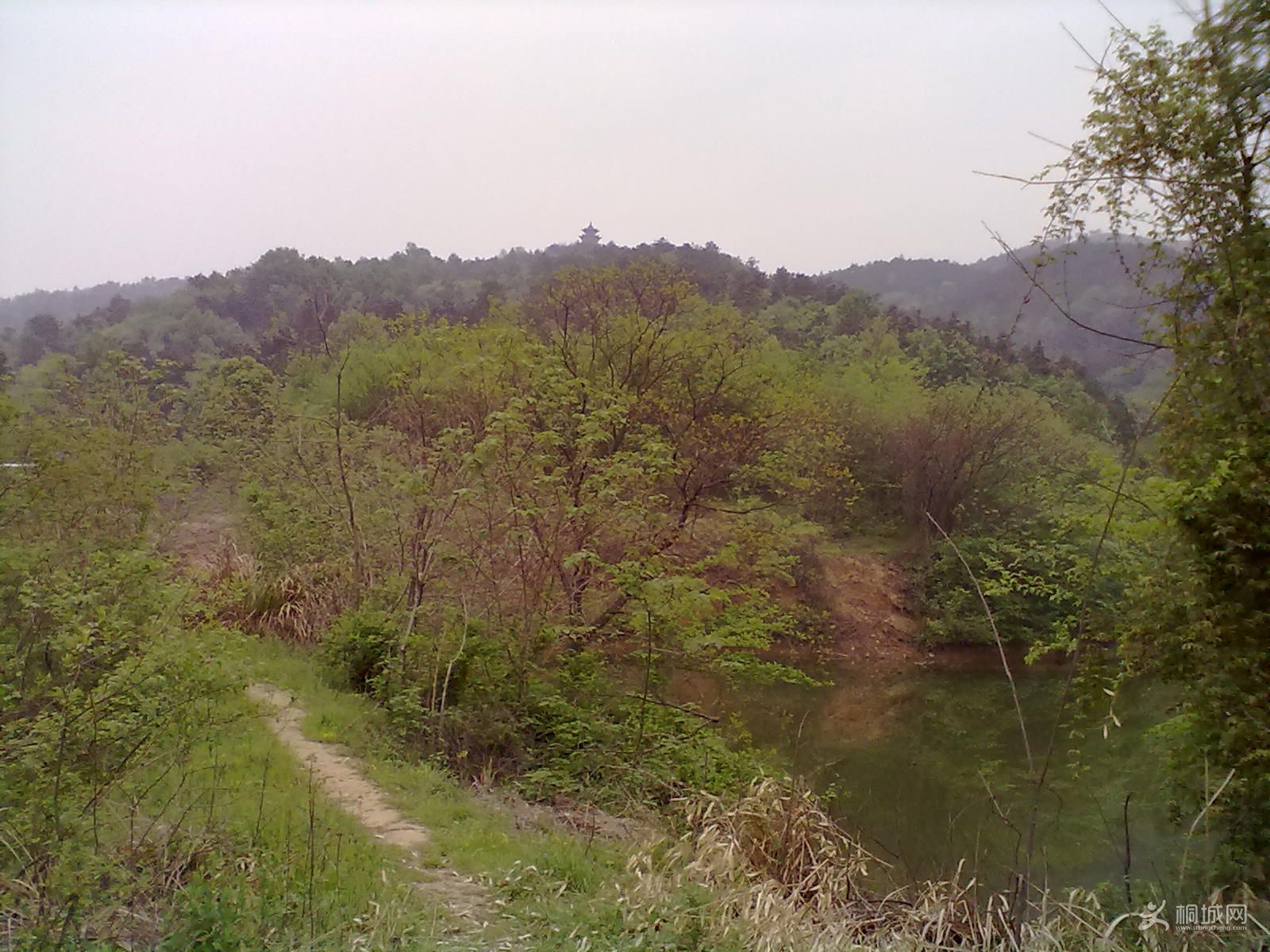 20120418233.jpg