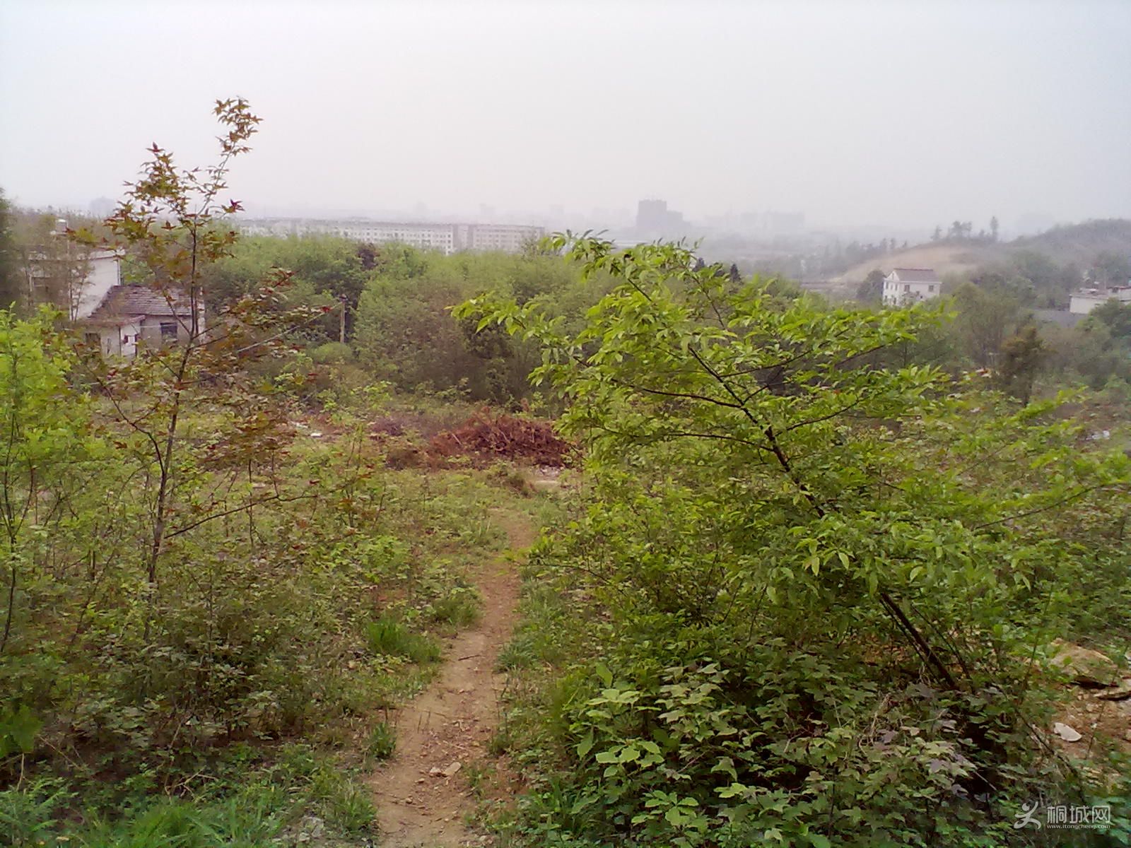 20120418234.jpg