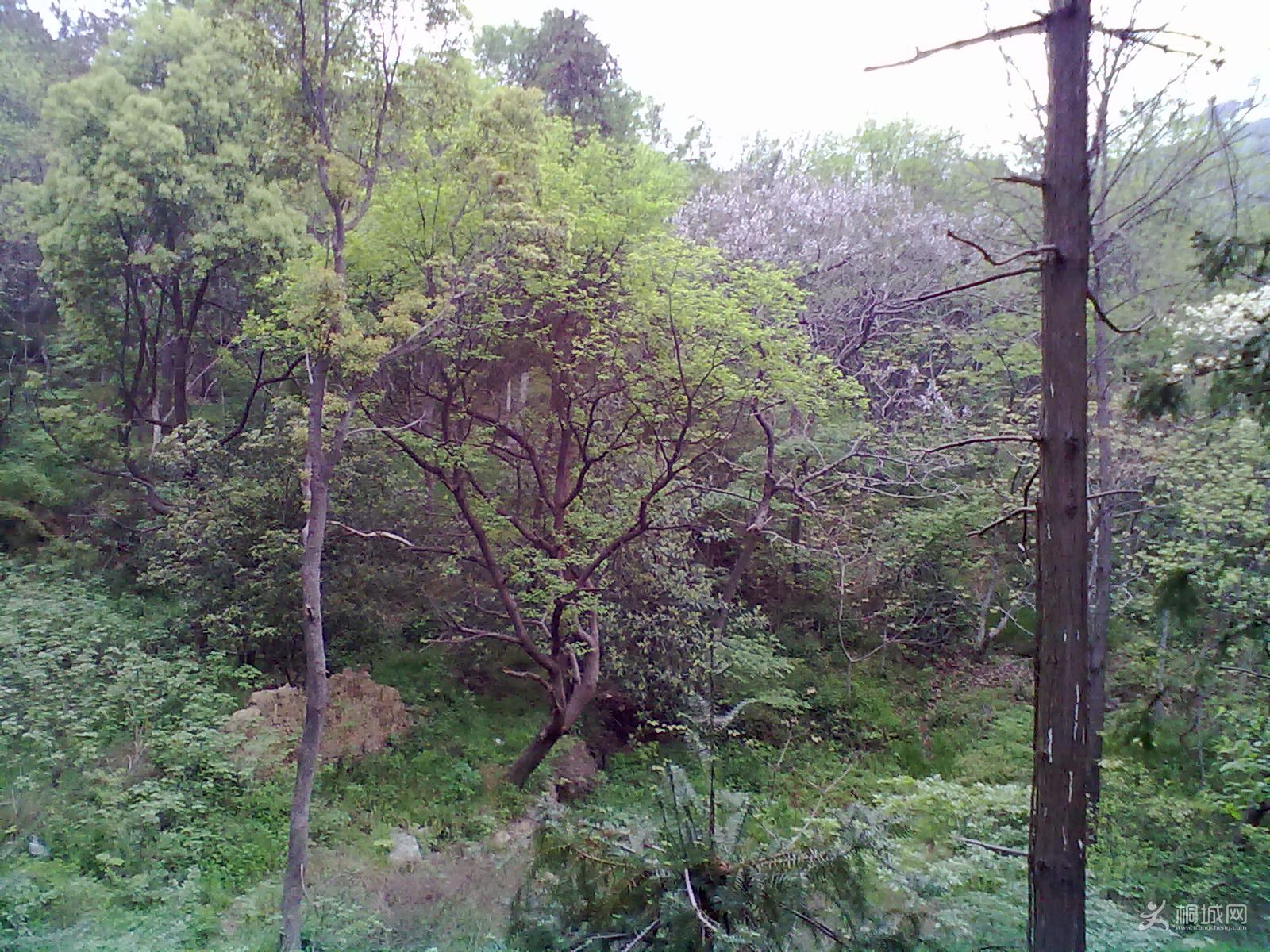 20120418266.jpg