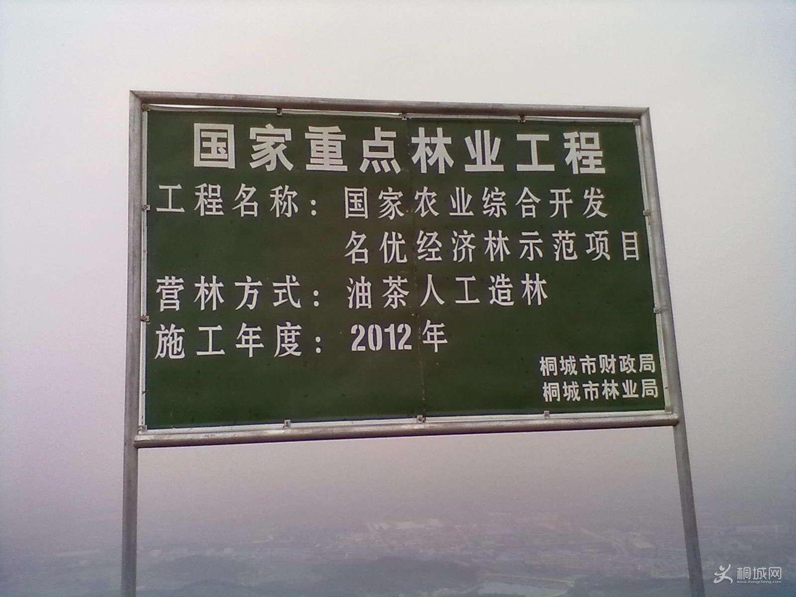 20120418279.jpg