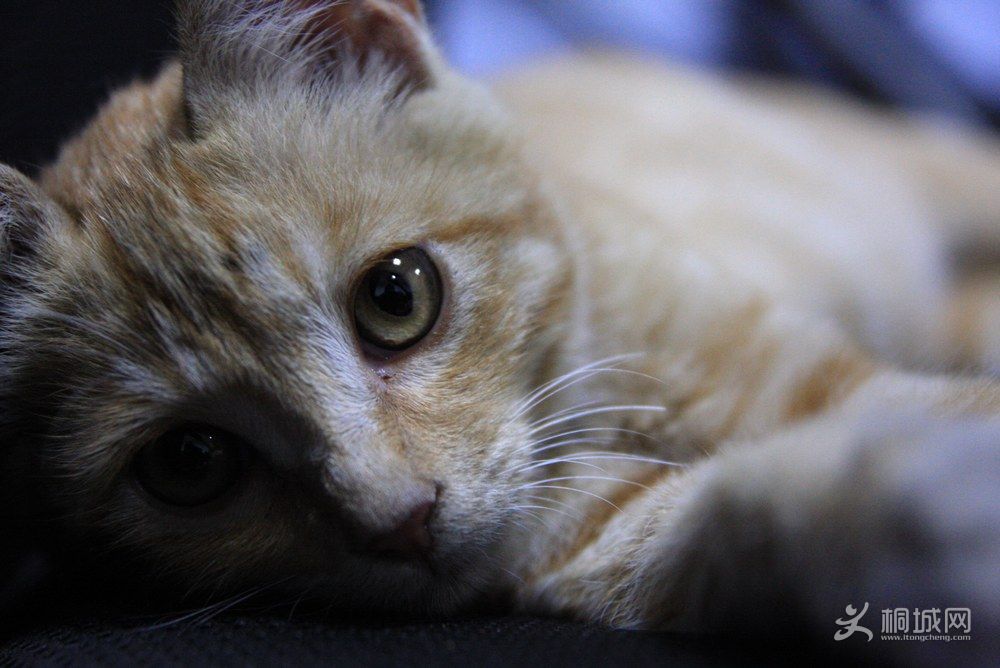 ������Ӱ (3).JPG