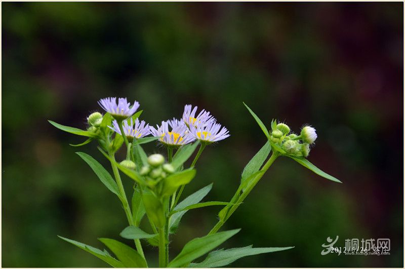 ��Ƭ��ׯ 324_����_����.jpg