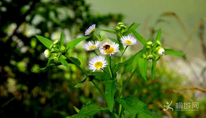 ��Ƭ��ׯ 428_����_����_����.jpg