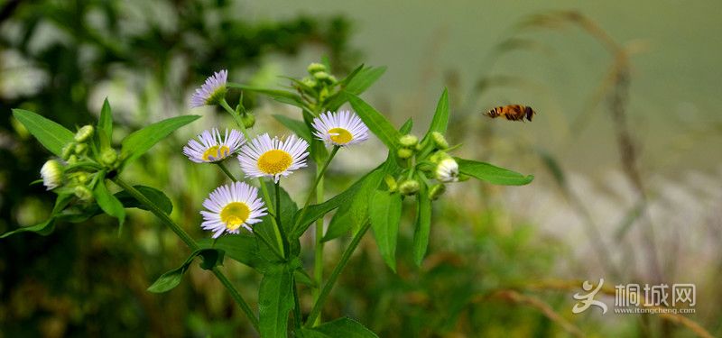 ��Ƭ��ׯ �������_����_����_����.jpg
