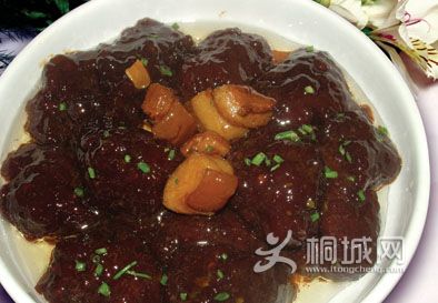 ɽ��Բ������