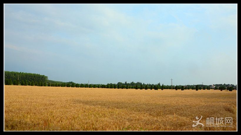 ͩ�� 090_����_����.jpg