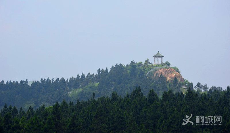 ͩ�� 061_����_����.jpg