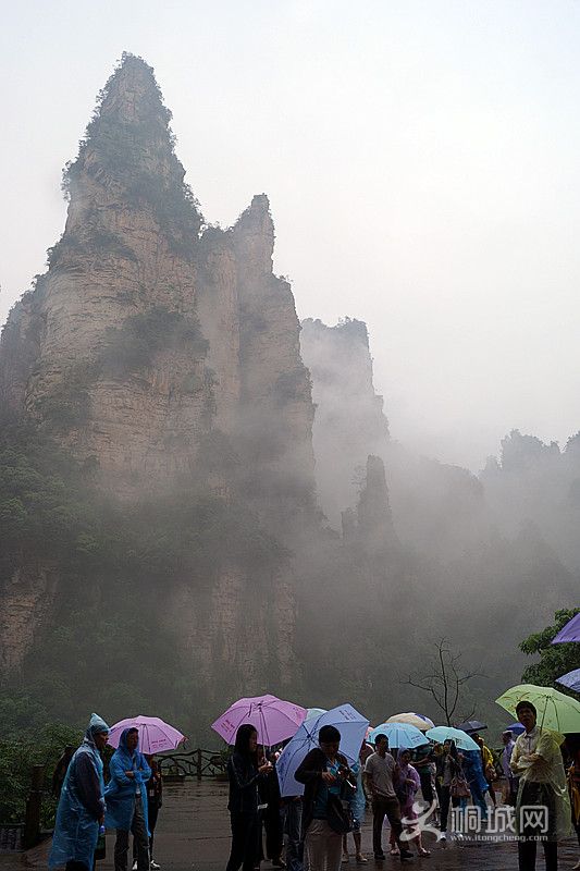 ��Ƭ 130_����.jpg