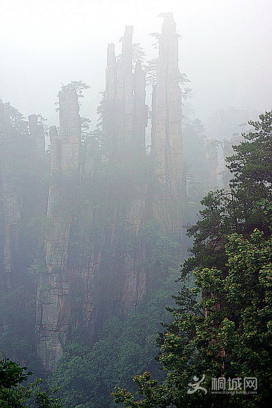 ��Ƭ 307_����.jpg