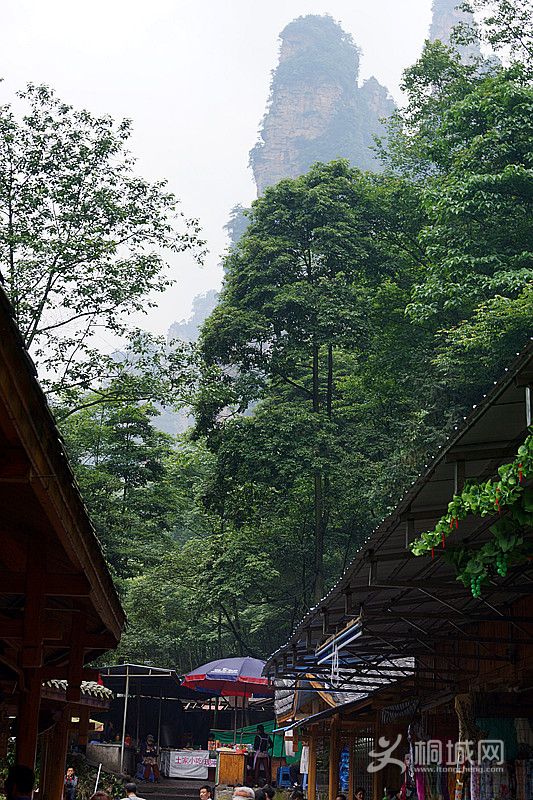 ��Ƭ 391_����.jpg