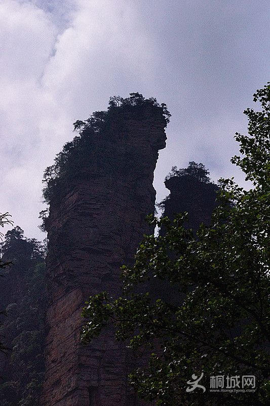 ��Ƭ 1003_����.jpg