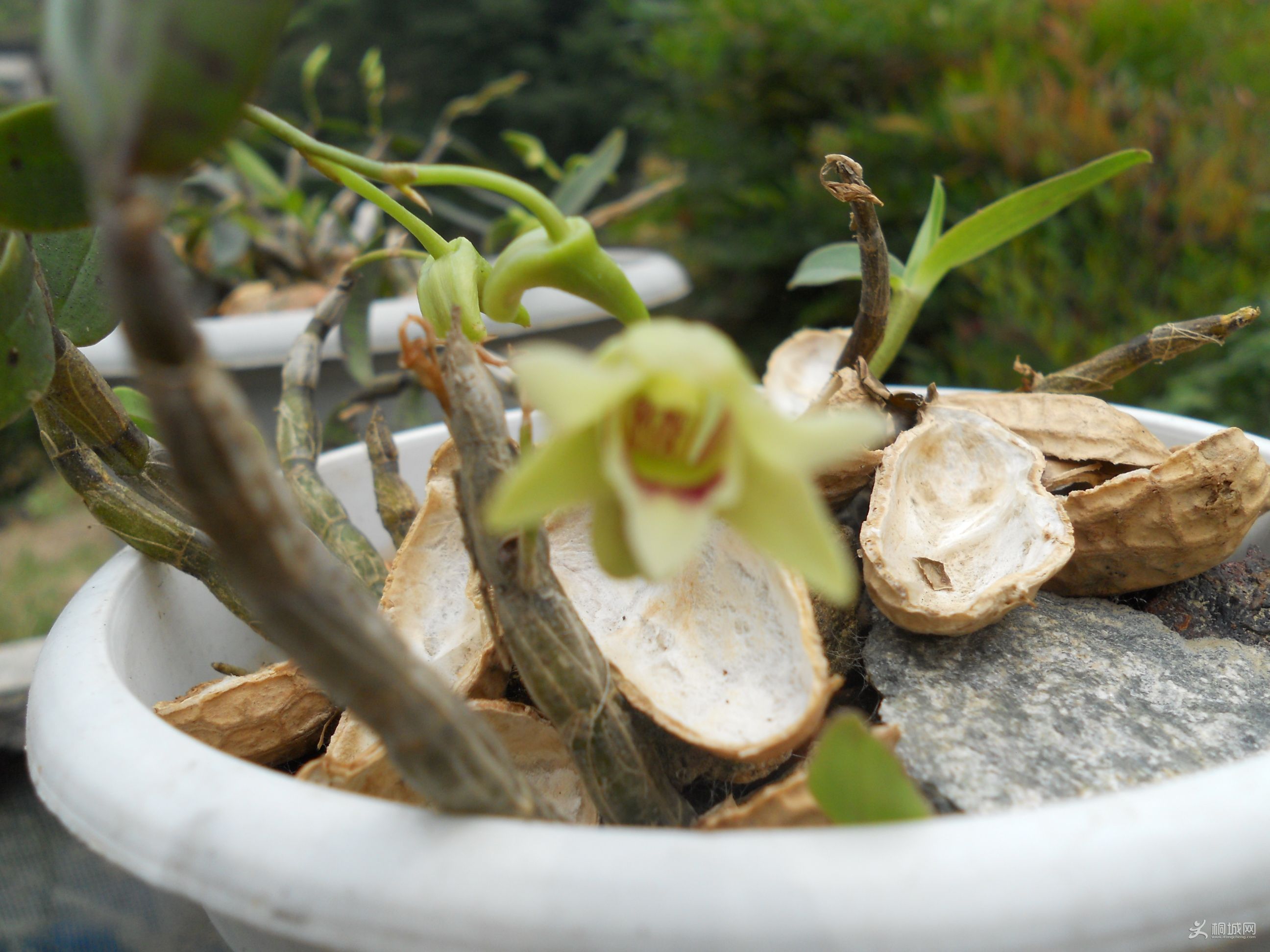 ʯ��������