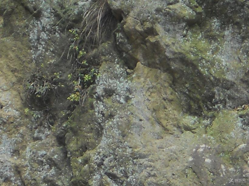 ������ʯ��������������