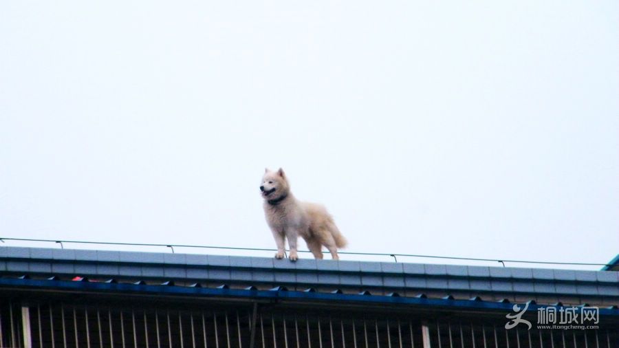 DSCF3774.jpg