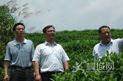 20120705085237.jpg