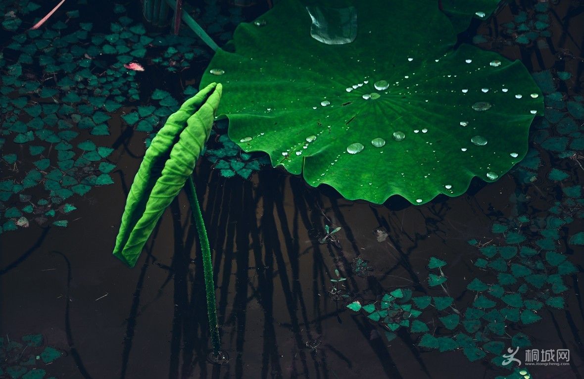 ���� (6).jpg