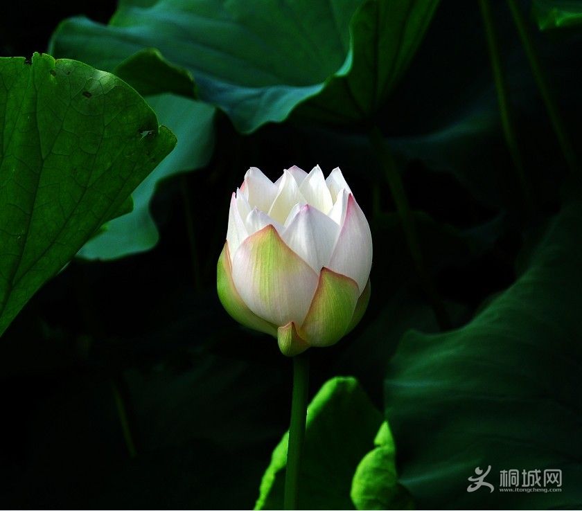 ���� (3).jpg