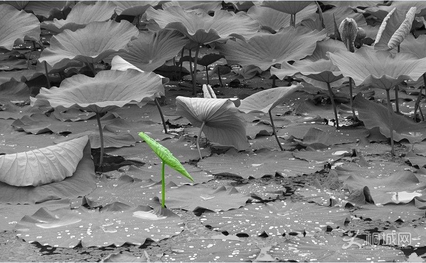 ���� (5).jpg