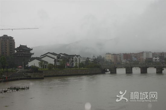 Ƭ 011.jpg