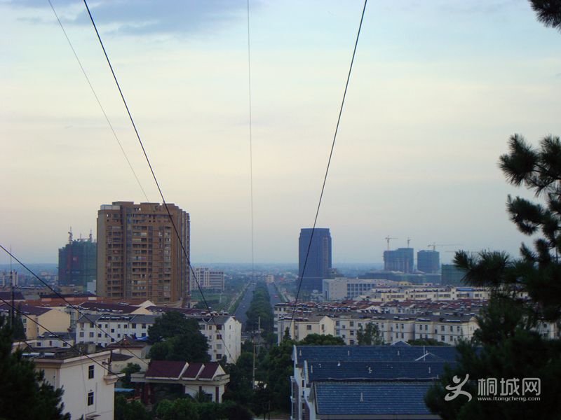 DSC03529_.jpg