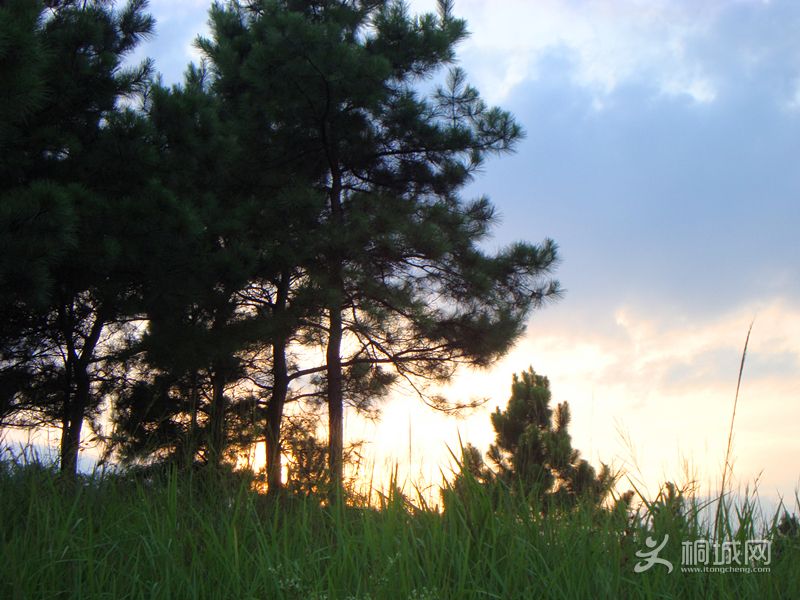 DSC03530_.jpg