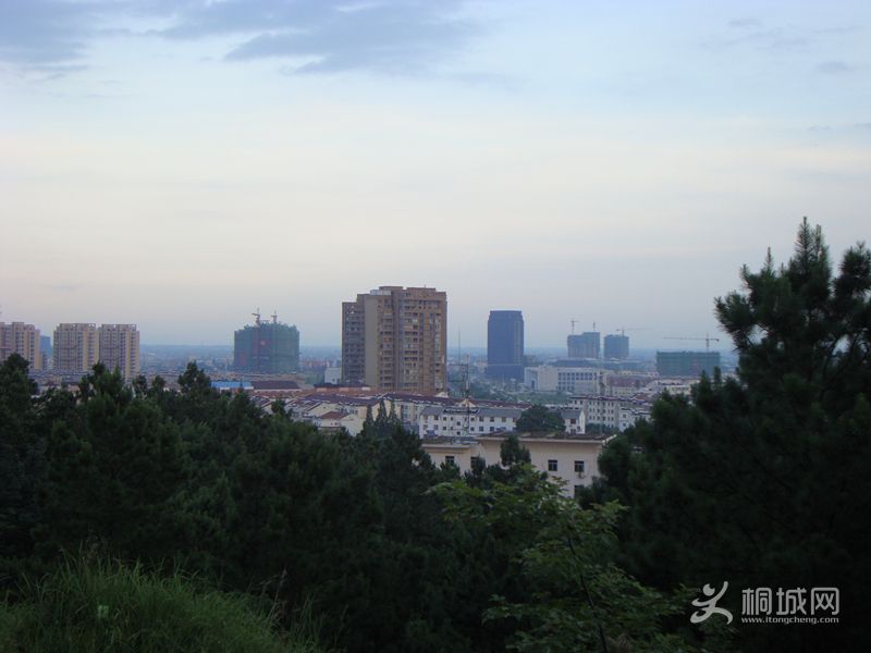 DSC03531_.jpg