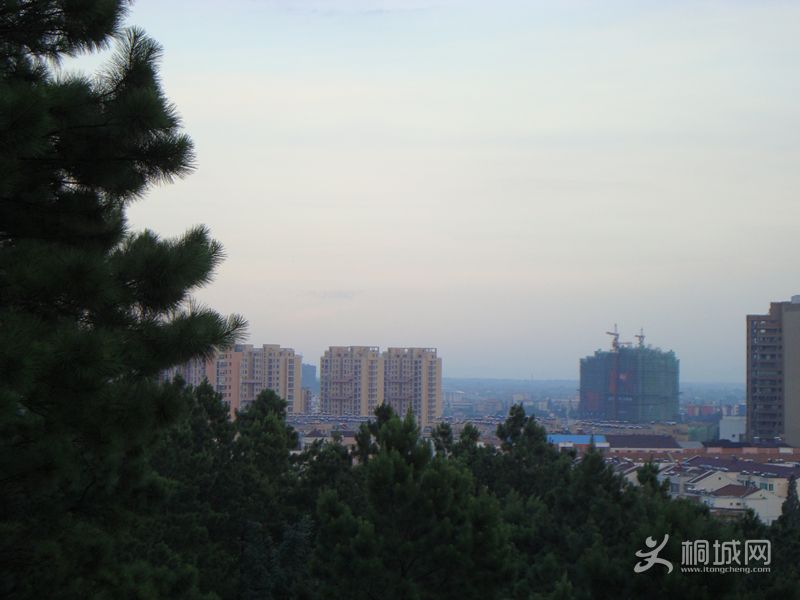 DSC03532_.jpg