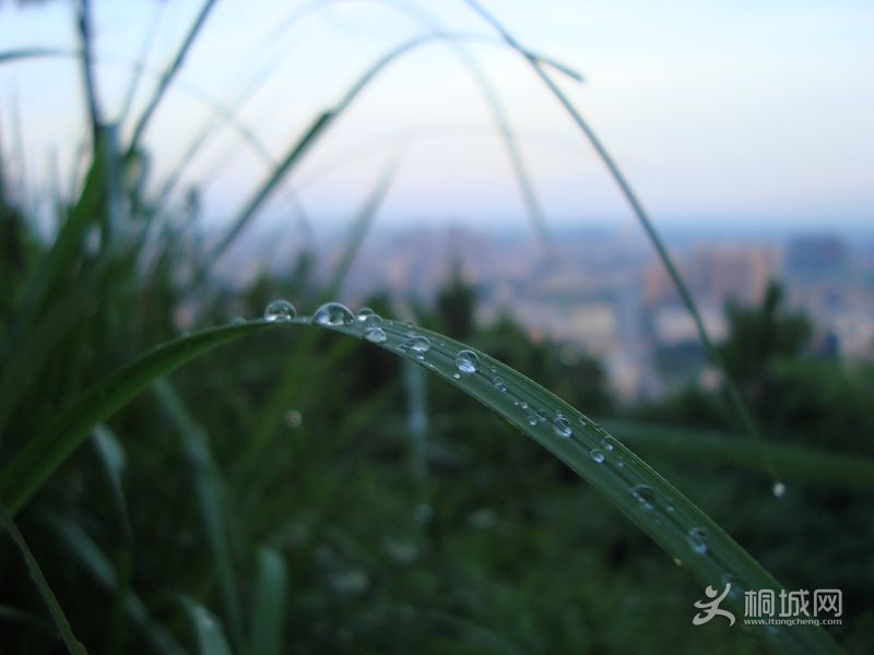 DSC03536_.jpg