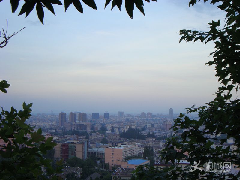 DSC03533_.jpg