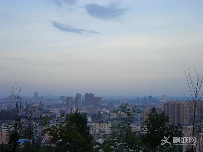 DSC03534_.jpg