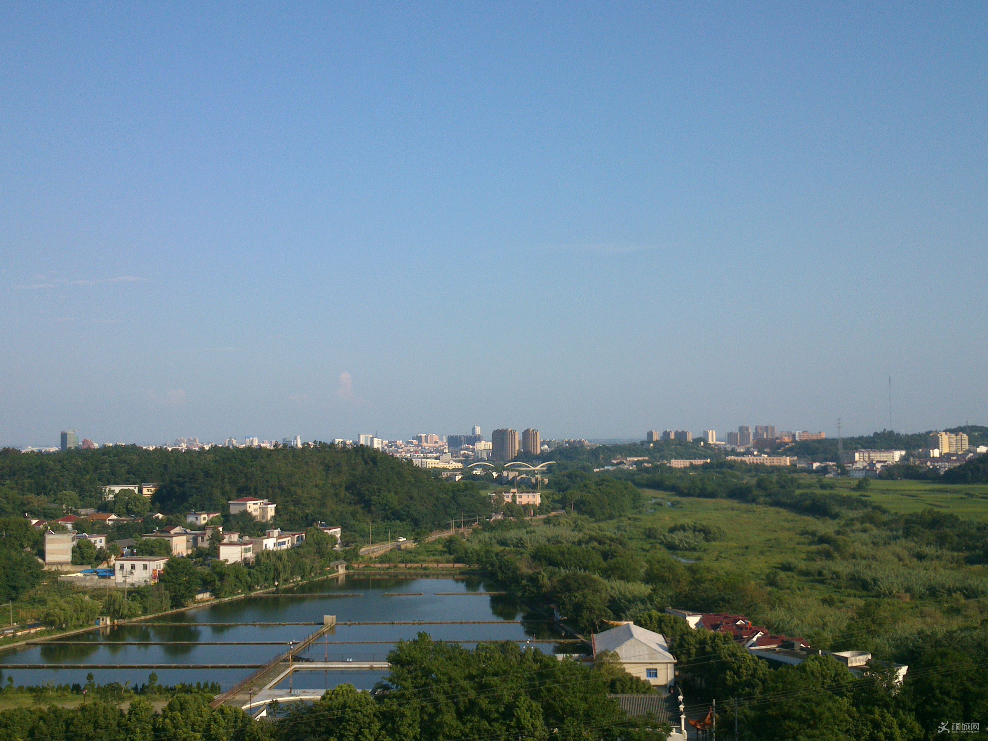 DSC_0076.jpg