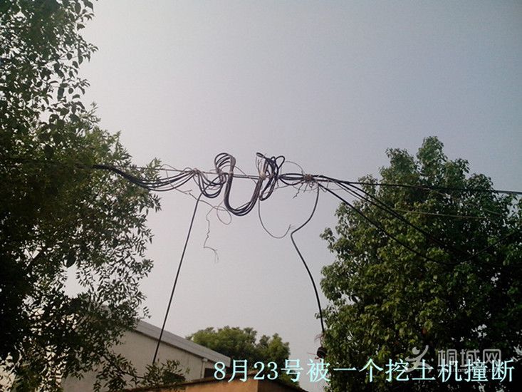 IMG_20120830_090419__.jpg